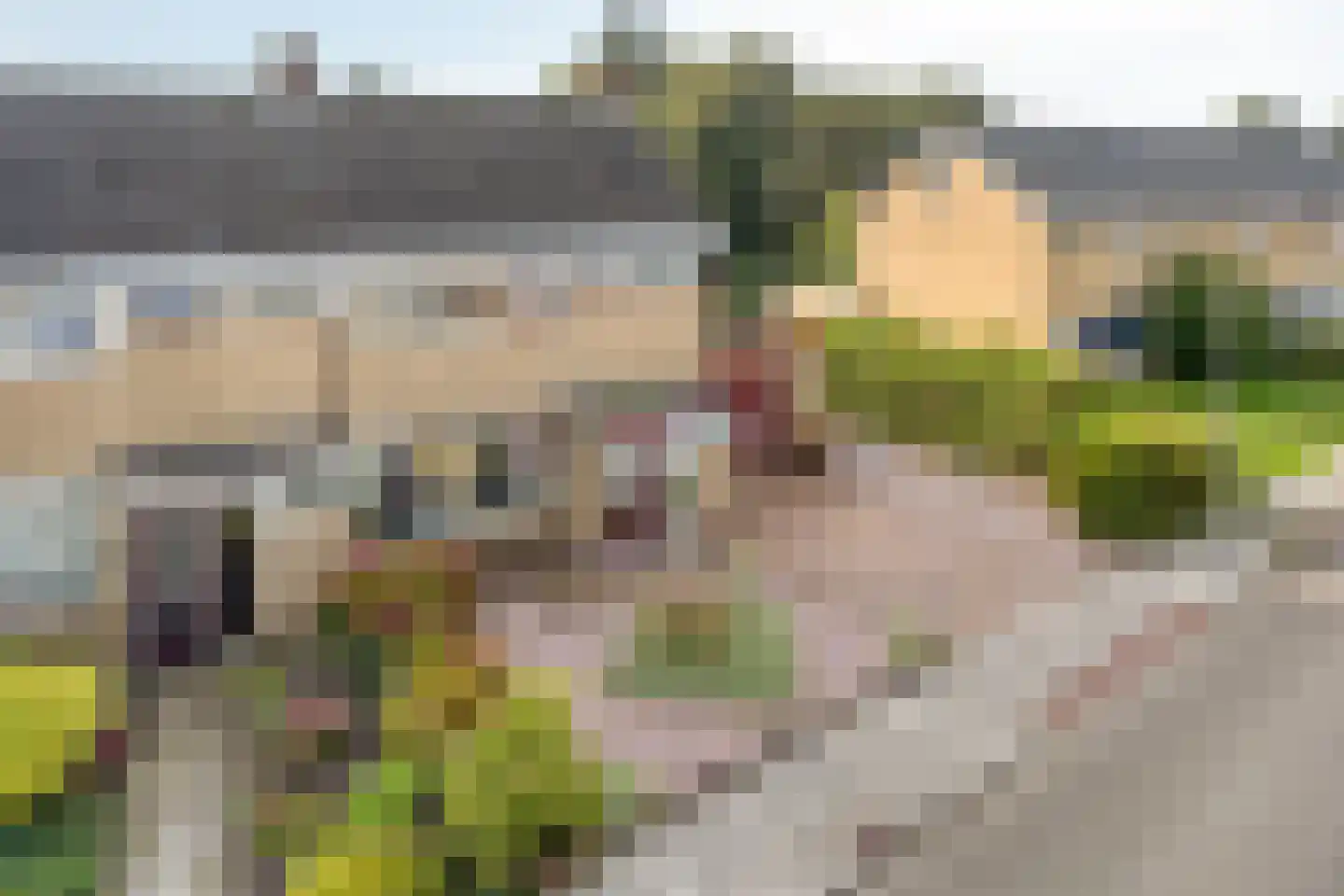Donellenlaan 12 Scheemda thumbnail 9