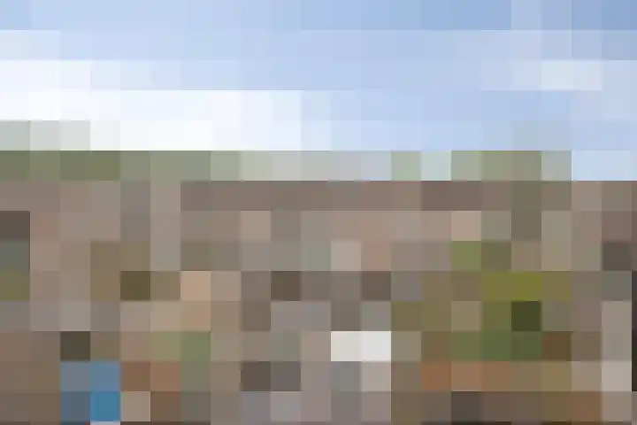 Donge 10 Rotterdam thumbnail 15