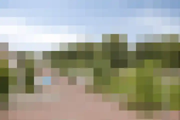 Donge 10 Rotterdam thumbnail 16