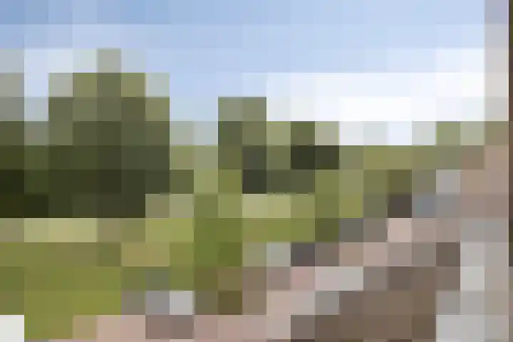 Donge 10 Rotterdam thumbnail 17