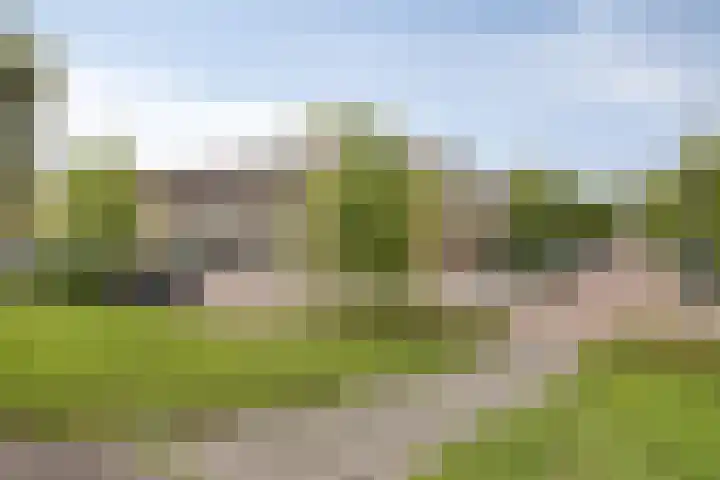 Donge 10 Rotterdam thumbnail 21