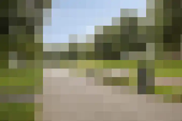 Donge 10 Rotterdam thumbnail 22