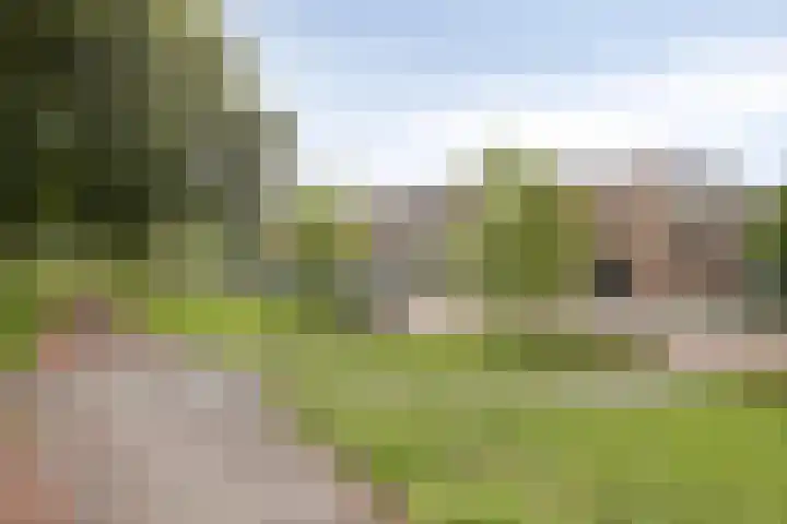 Donge 10 Rotterdam foto 3