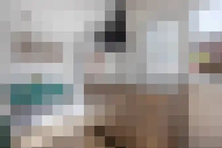 Donge 12 Barendrecht thumbnail 15