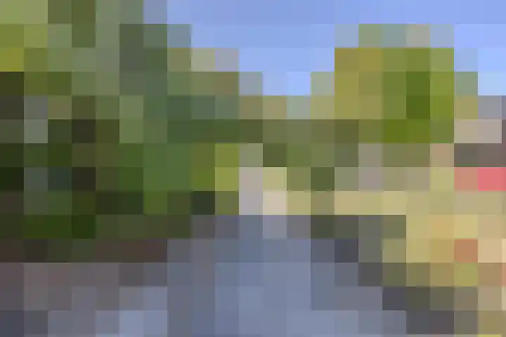 Donge 12 Barendrecht thumbnail 39