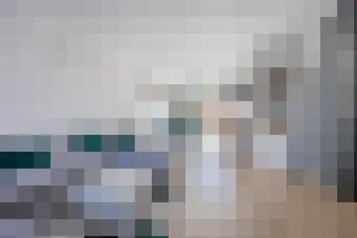 Donge 12 Barendrecht thumbnail 4