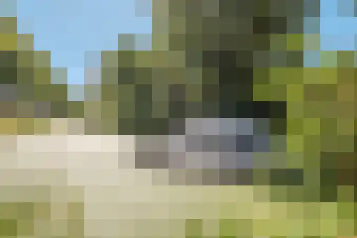 Donge 12 Barendrecht thumbnail 40