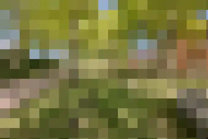Donge 12 Barendrecht thumbnail 41