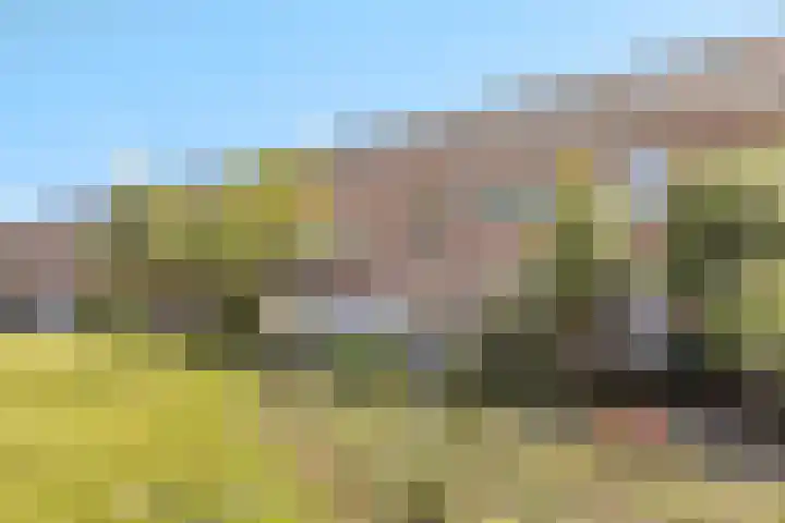 Donge 12 Barendrecht thumbnail 6