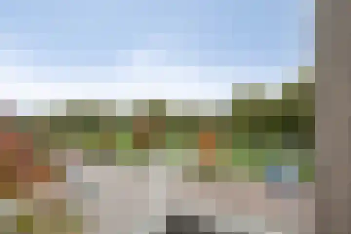 Donge 12 Rotterdam thumbnail 14