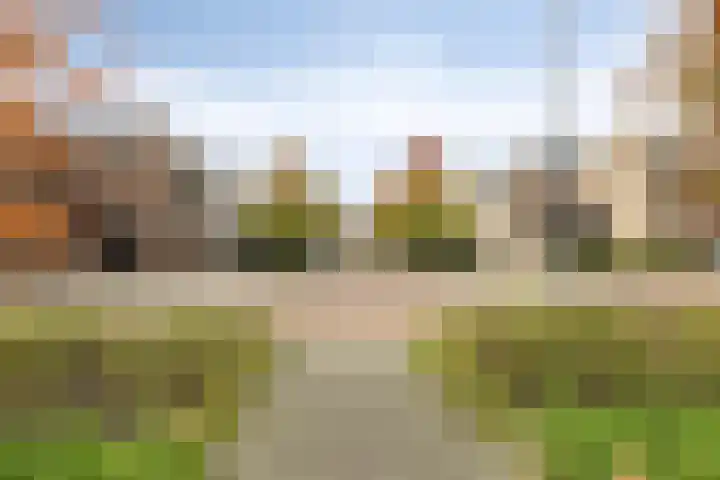 Donge 12 Rotterdam thumbnail 15