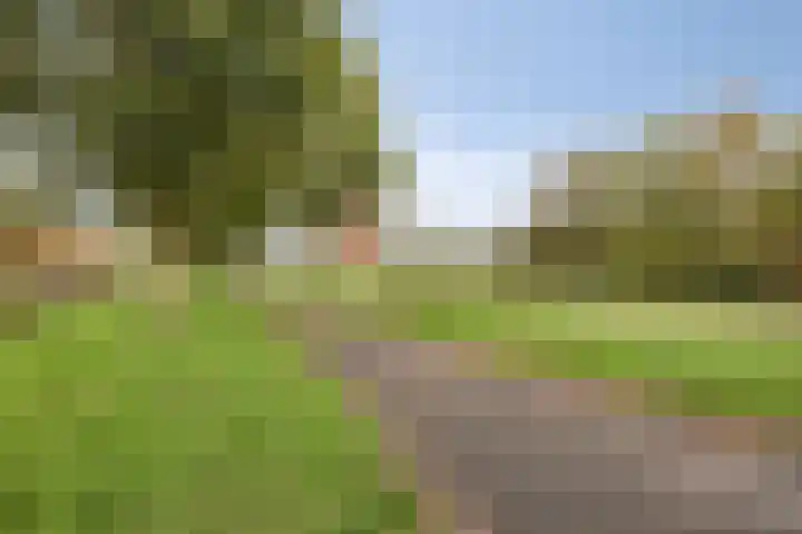 Donge 12 Rotterdam thumbnail 16