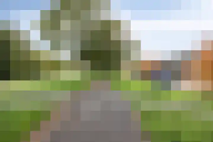 Donge 12 Rotterdam thumbnail 17
