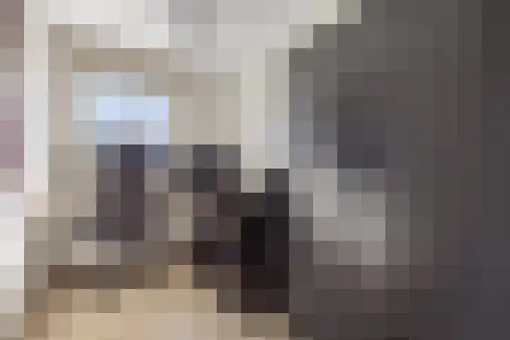 Donge 12 Veldhoven thumbnail 24