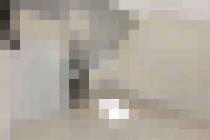 Donge 12 Veldhoven thumbnail 36