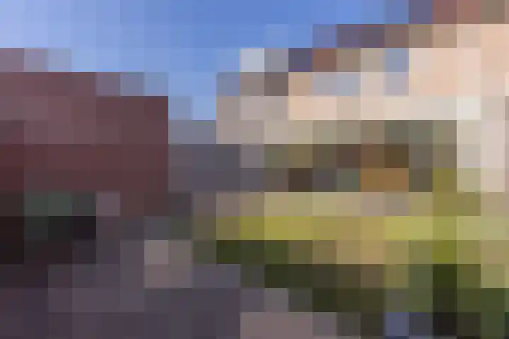 Donge 12 Veldhoven thumbnail 39