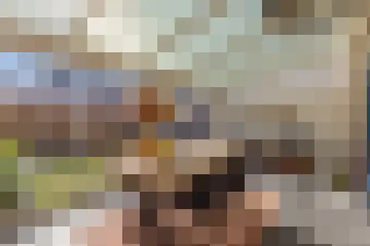 Donge 12 Veldhoven thumbnail 4