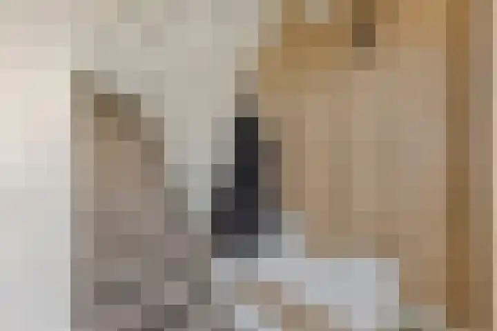 Donge 12 Veldhoven thumbnail 8