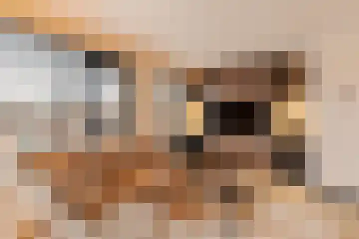 Donge 17 Rotterdam thumbnail 12