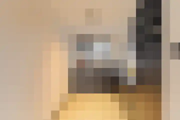 Donge 17 Rotterdam thumbnail 16
