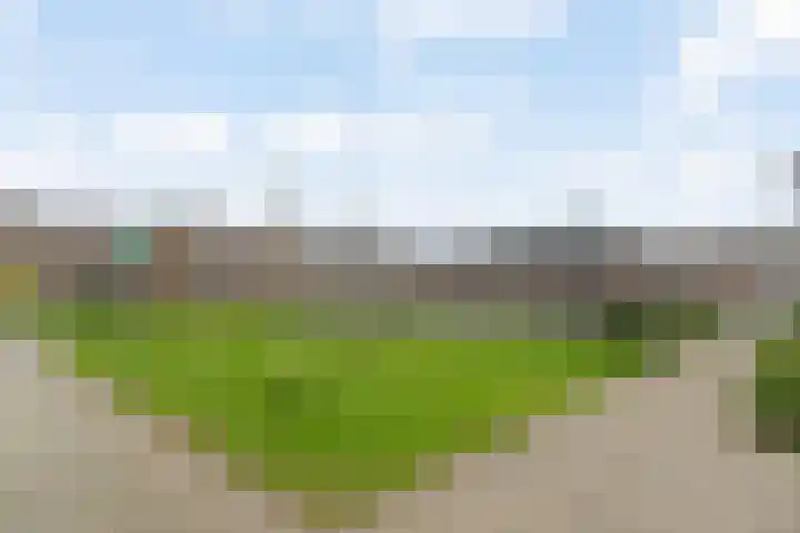 Donge 17 Rotterdam thumbnail 28