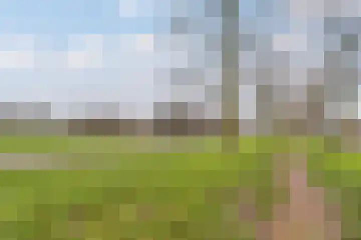Donge 17 Rotterdam thumbnail 30