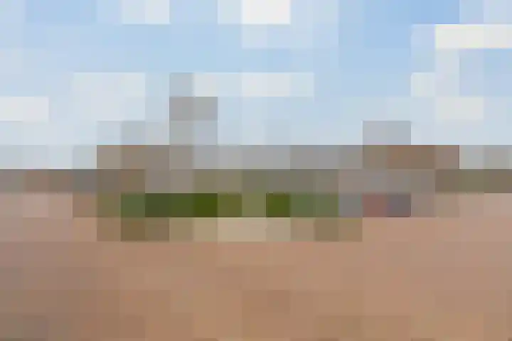 Donge 17 Rotterdam thumbnail 6