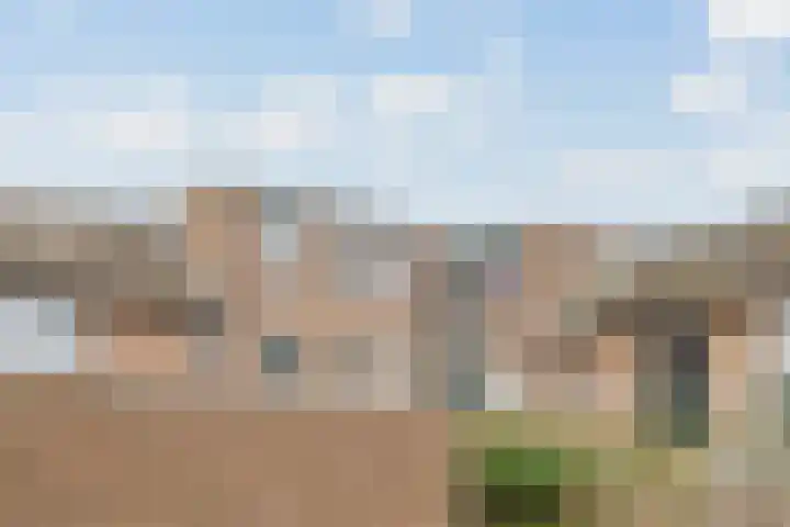 Donge 17 Rotterdam thumbnail 7
