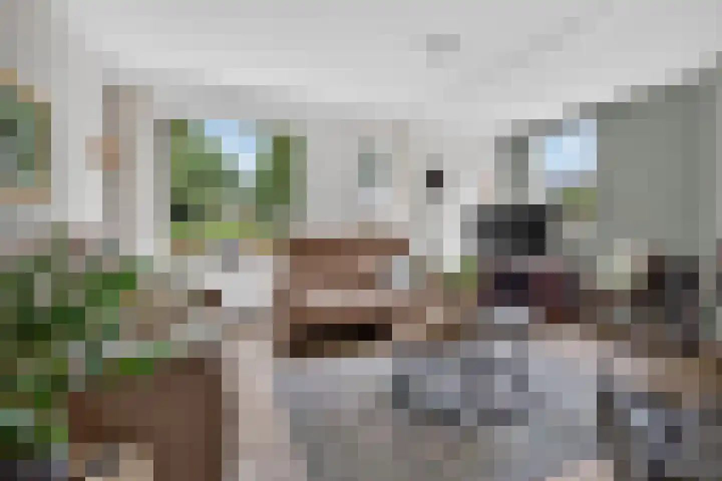 Donge 18 Deurne thumbnail 12