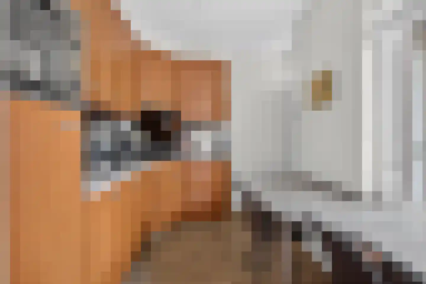 Donge 18 Deurne thumbnail 15