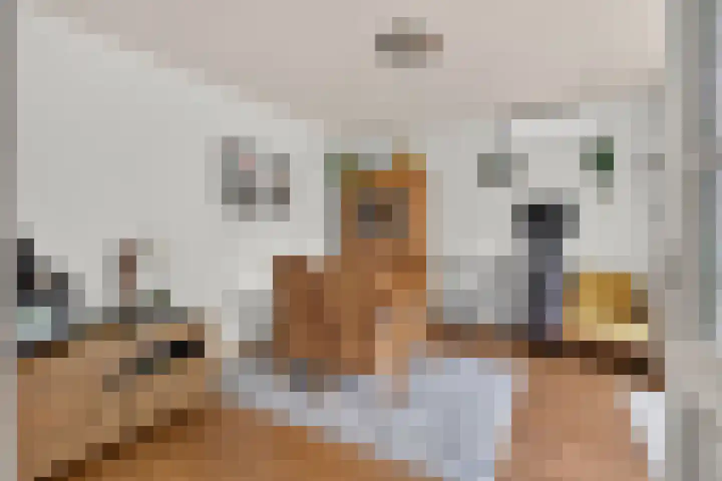 Donge 18 Deurne thumbnail 19