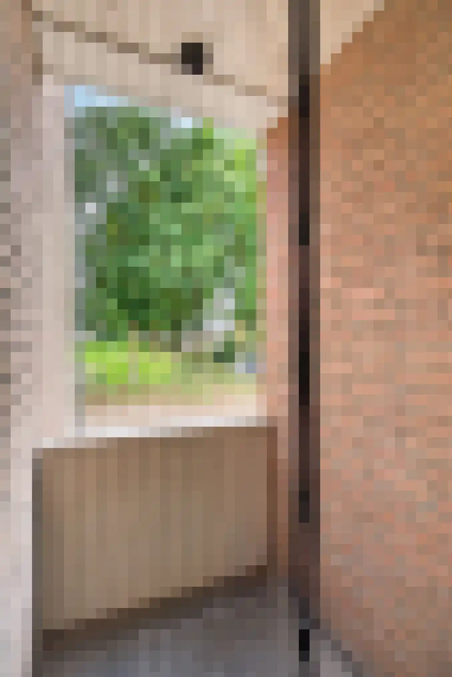 Donge 18 Deurne thumbnail 24