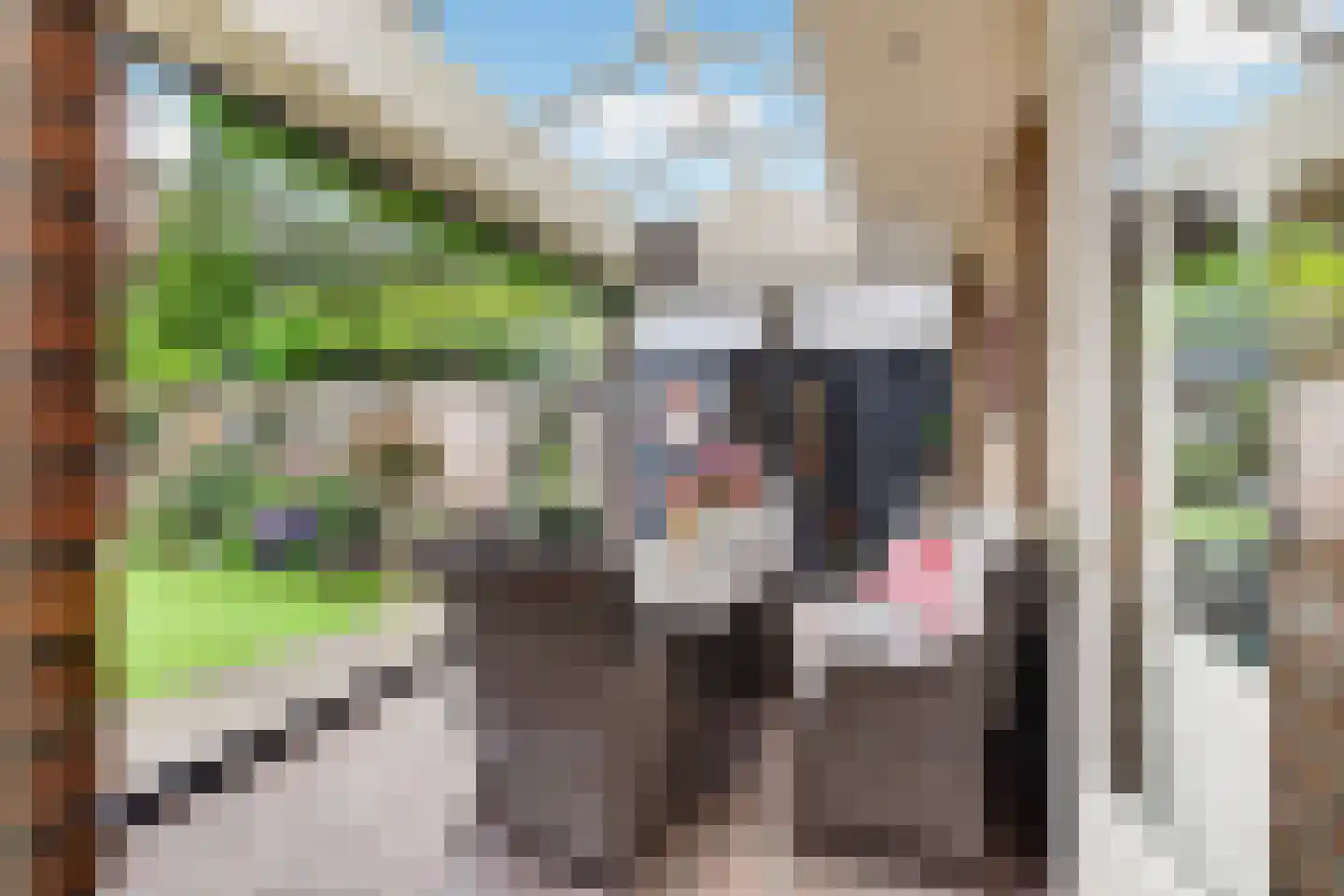 Donge 18 Deurne thumbnail 35