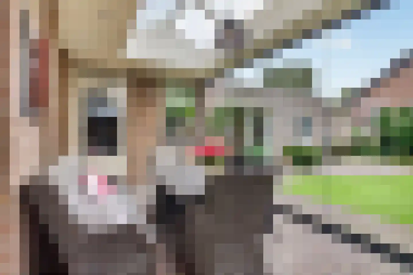 Donge 18 Deurne thumbnail 36