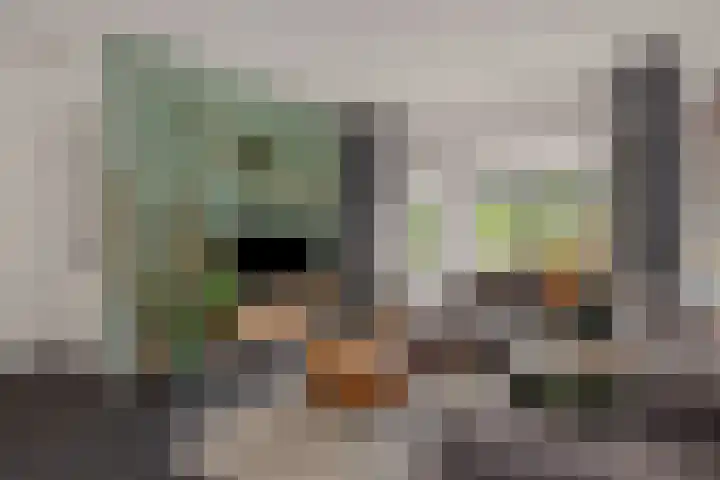 Donge 26 Deurne thumbnail 10