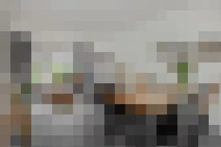 Donge 26 Deurne thumbnail 12