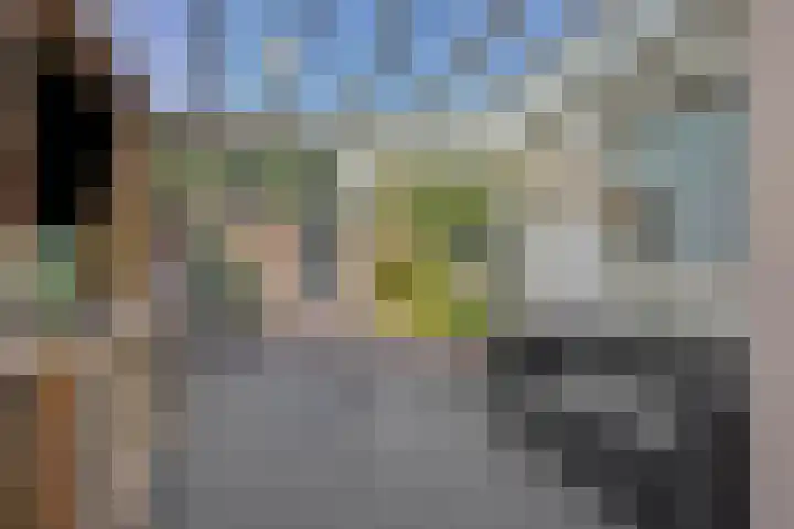 Donge 26 Deurne thumbnail 16