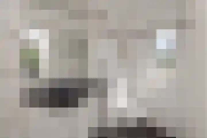 Donge 26 Deurne thumbnail 26