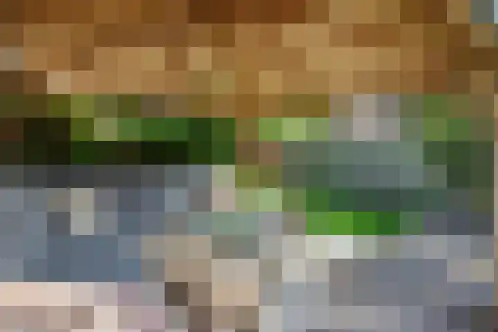 Donge 26 Deurne thumbnail 30