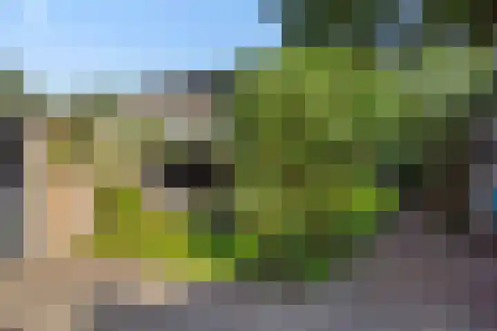 Donge 26 Deurne thumbnail 31