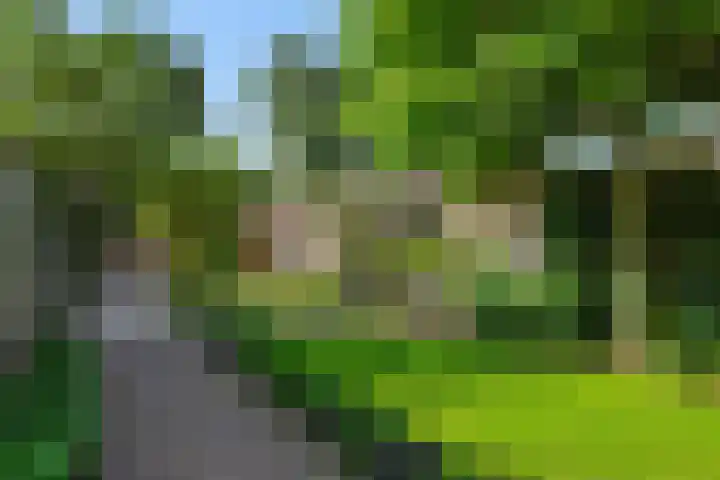 Donge 26 Deurne thumbnail 32