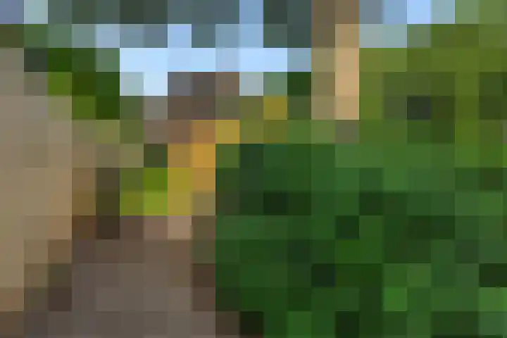 Donge 26 Deurne thumbnail 34