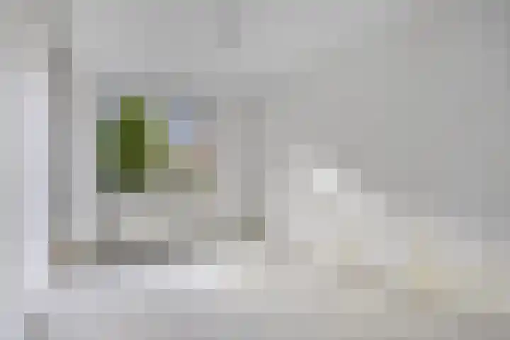 Donge 4 Rotterdam thumbnail 12