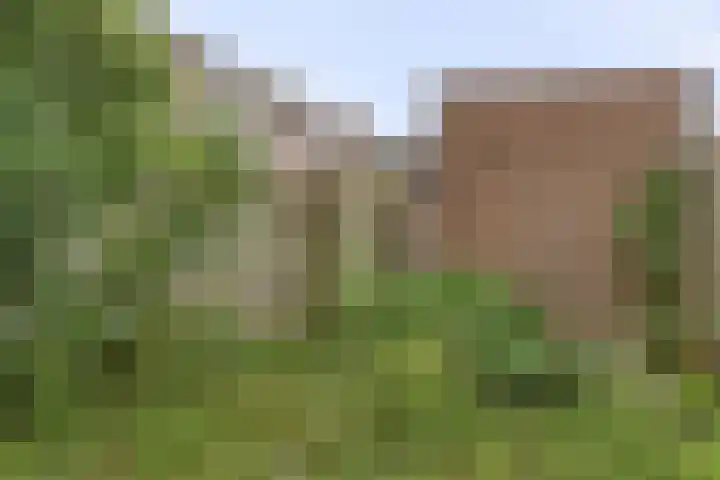 Donge 4 Rotterdam thumbnail 15