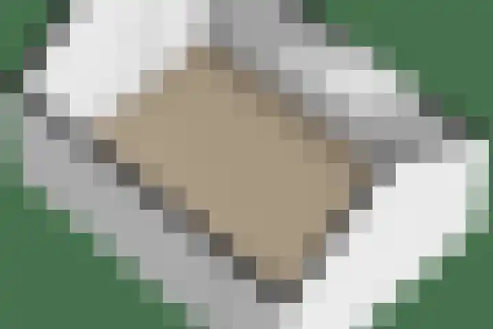 Donge 4 Rotterdam thumbnail 16