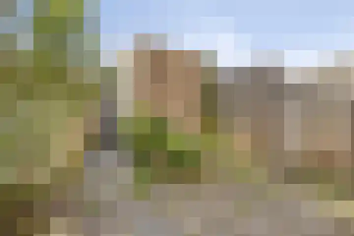 Donge 4 Rotterdam thumbnail 16