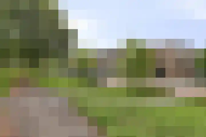 Donge 4 Rotterdam thumbnail 21