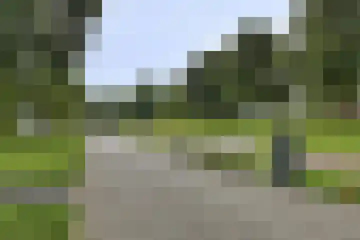 Donge 4 Rotterdam thumbnail 22