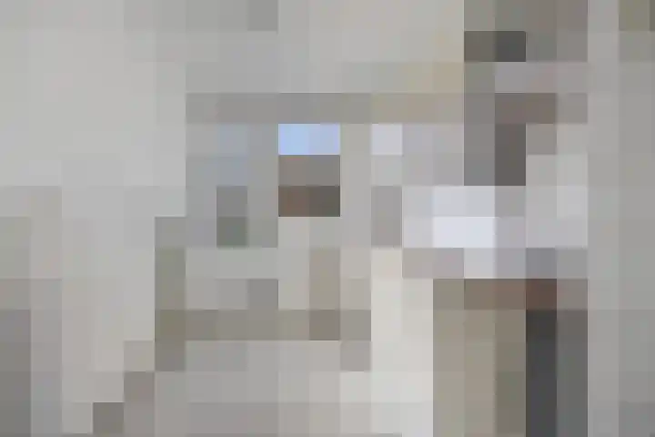 Donge 4 Rotterdam thumbnail 7
