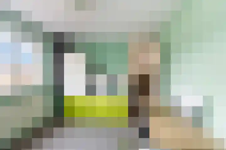 Donge 6 Barendrecht thumbnail 25